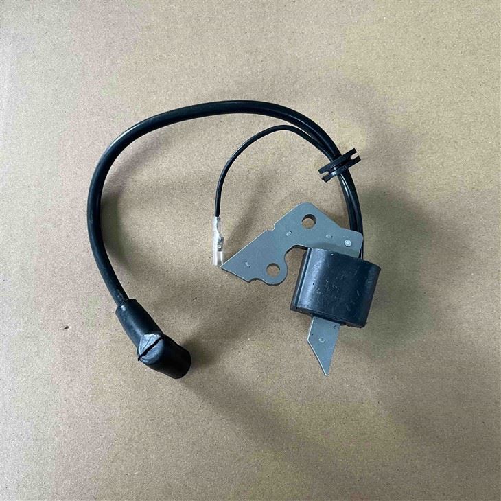 EY20 Robin Rammer Ignition Coil best